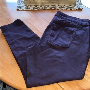 Last chance! Maurices High Rise M Jeans size 20 W Reg